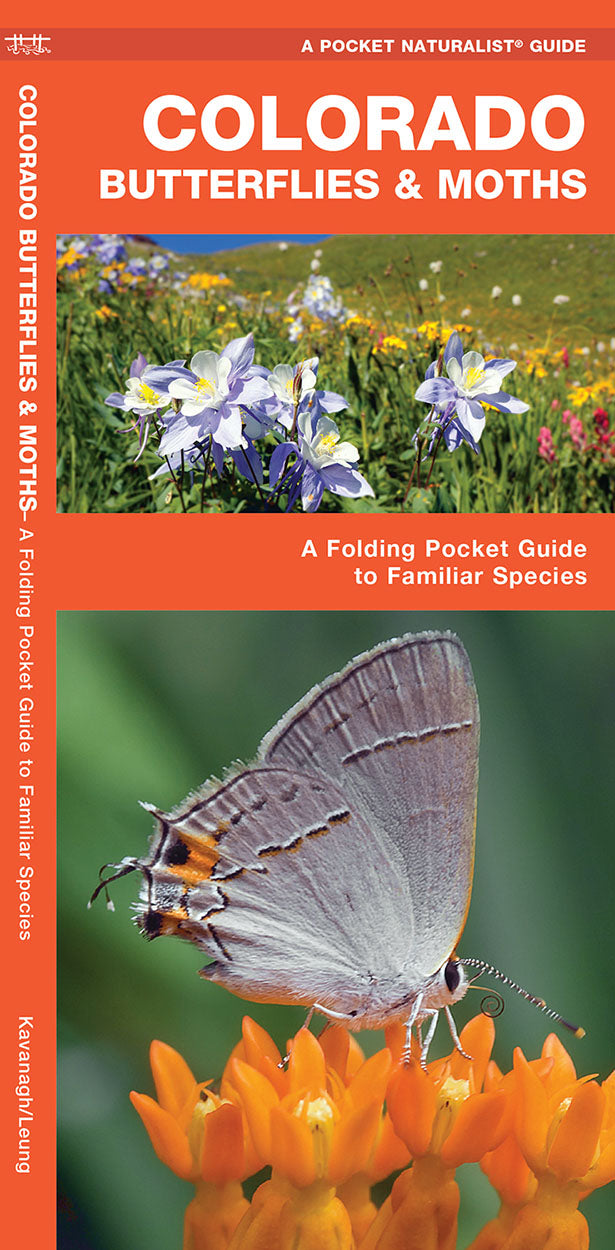 Colorado Butterflies &amp; Moths Pocket Guide - Birds Choice
