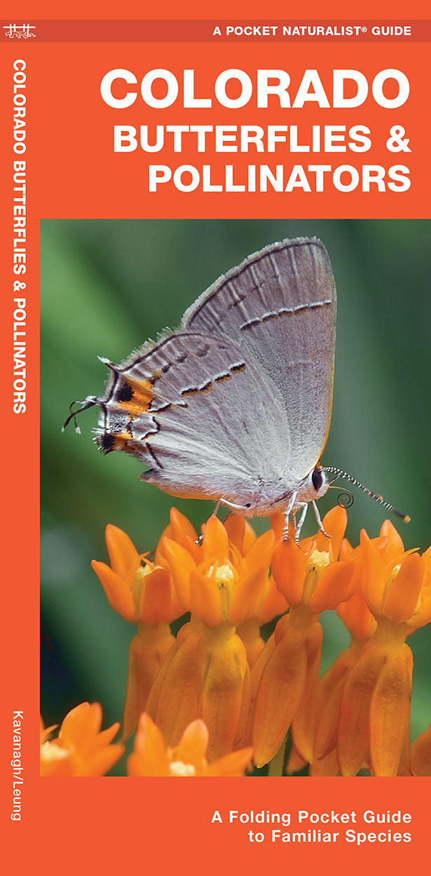 Colorado Butterflies & Pollinators Pocket Guide - Birds Choice