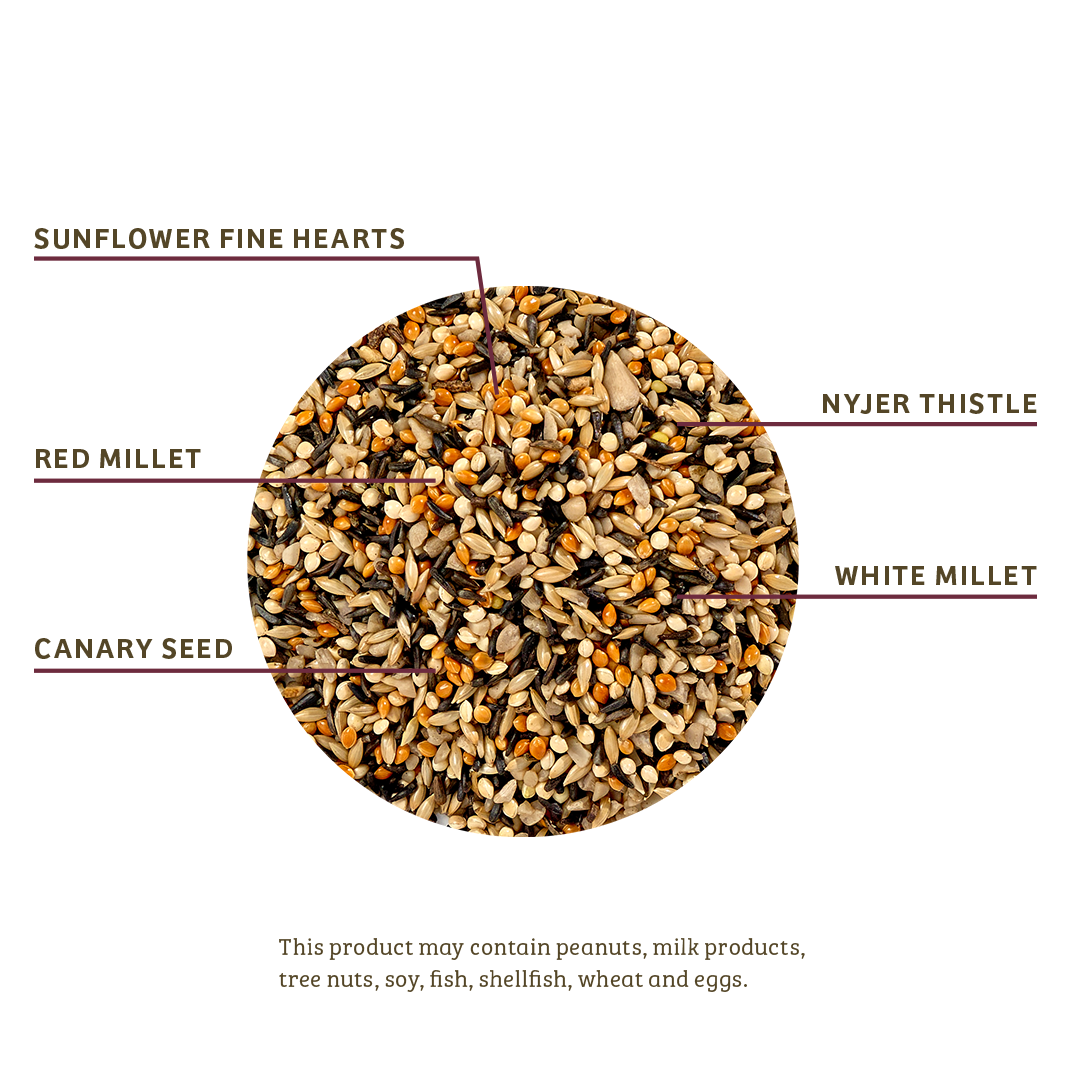 Finch Feast Wild Bird Food - 10 lbs. - Birds Choice