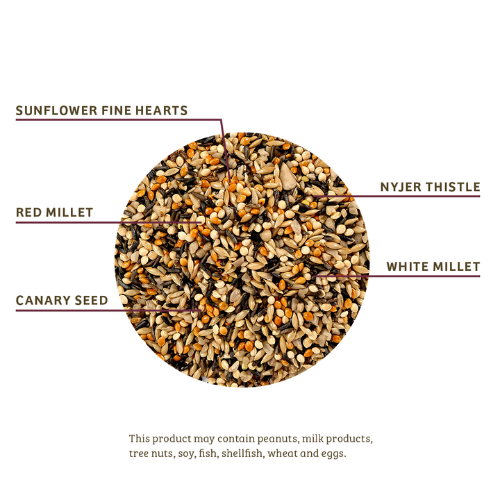 Finch Feast Wild Bird Food - 10 lbs. - Birds Choice