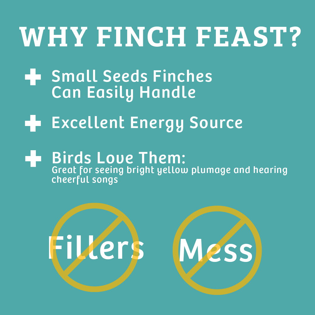 Finch Feast Wild Bird Food - 10 lbs. - Birds Choice