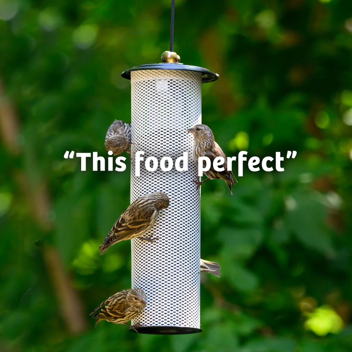 Finch Feast Wild Bird Food - 10 lbs. - Birds Choice