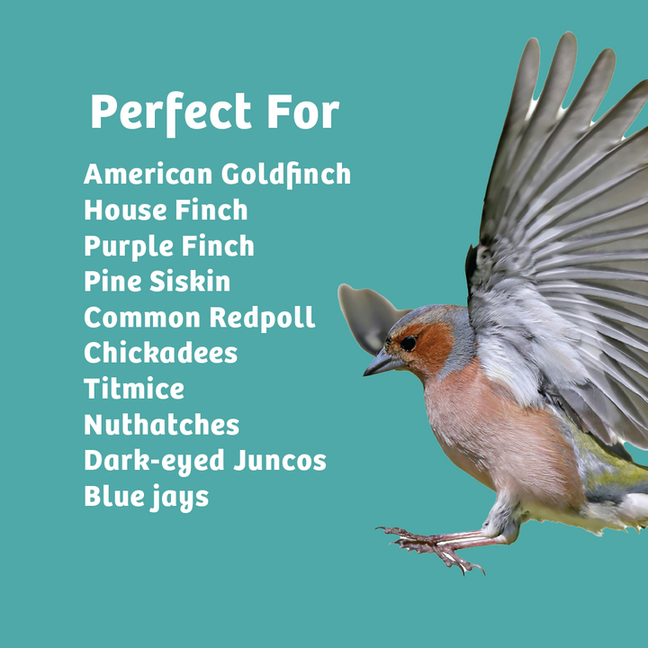 Finch Feast Wild Bird Food - 10 lbs. - Birds Choice
