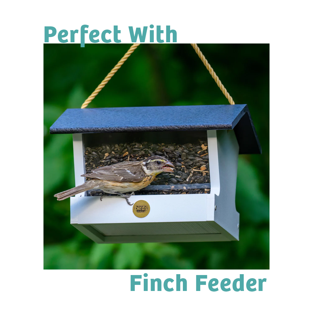 Finch Feast Wild Bird Food - 10 lbs. - Birds Choice