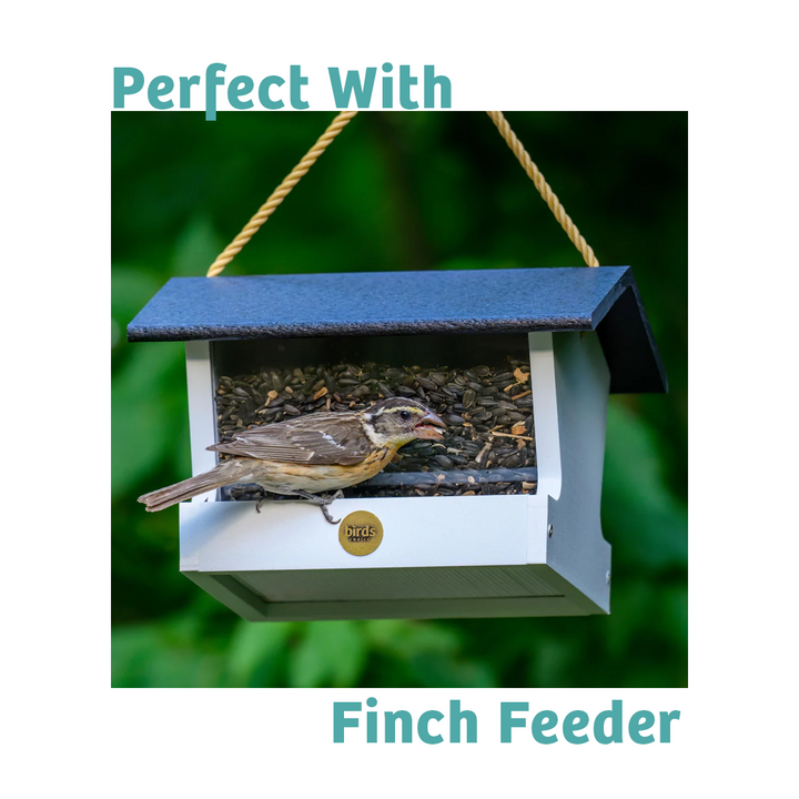 Finch Feast Wild Bird Food - 10 lbs. - Birds Choice