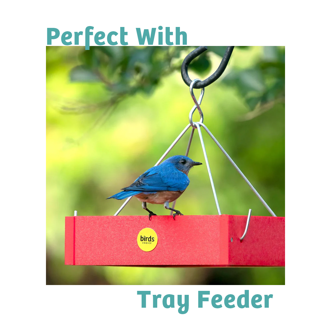 Finch Feast Wild Bird Food - 10 lbs. - Birds Choice