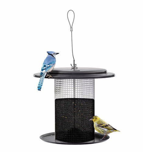 Bird Choice Modern Farmhouse Sunflower Seed Tub Bird Feeder 9.5" Black & White