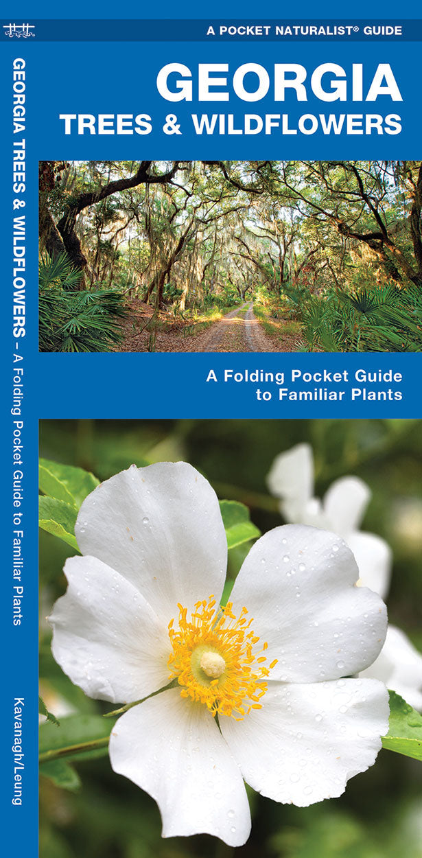 Georgia TREES &amp; WILDFLOWERS - Birds Choice