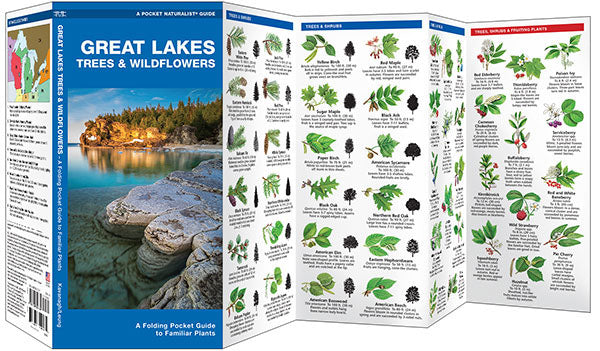 Great Lakes Trees &amp; Wildflowers Pocket Guide - Birds Choice