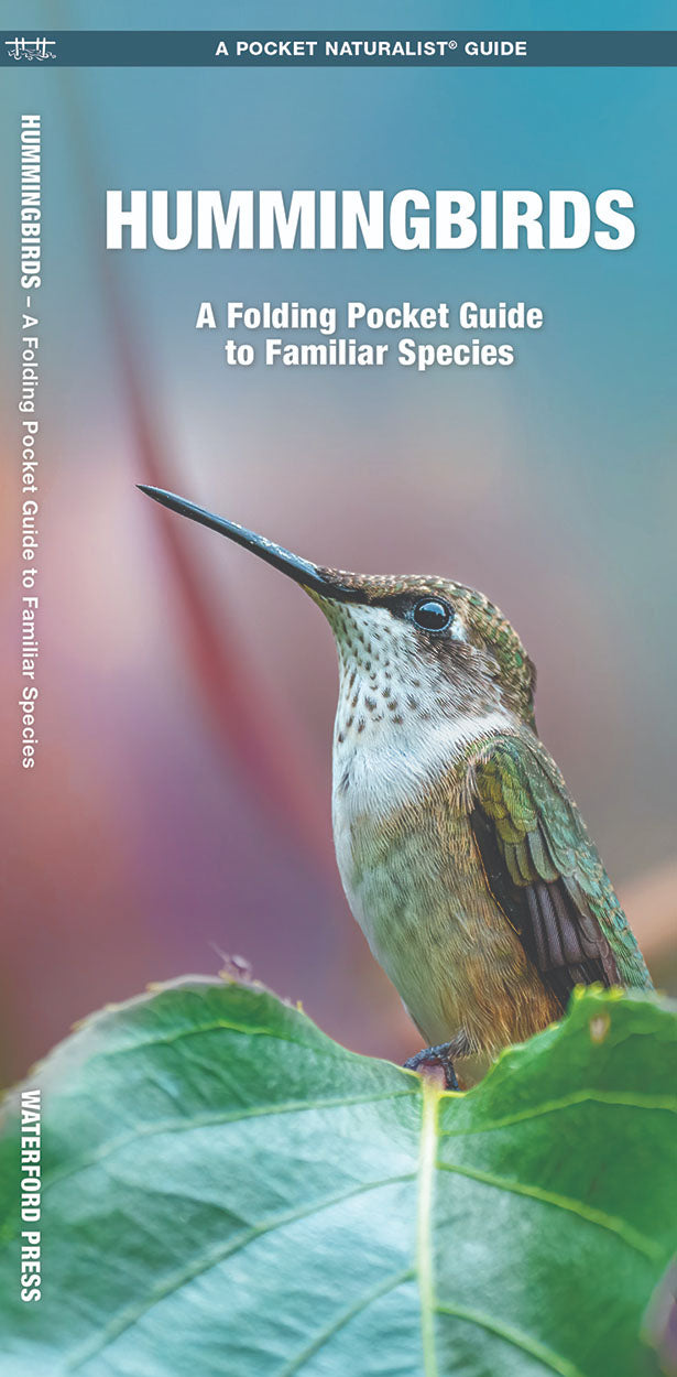 Hummingbirds Pocket Guide - Birds Choice