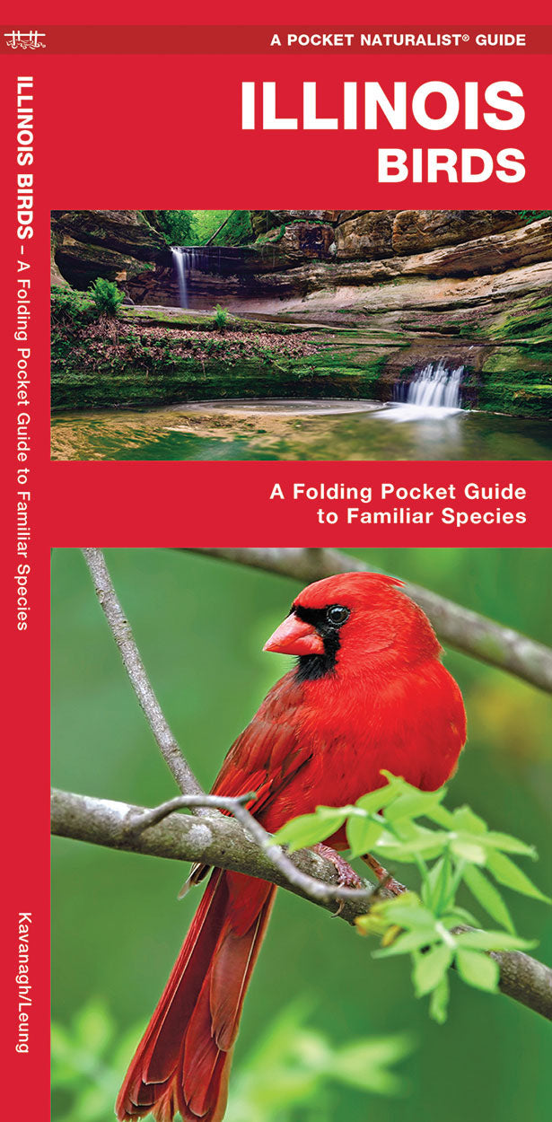 Illinois Birds Pocket Guide - Birds Choice