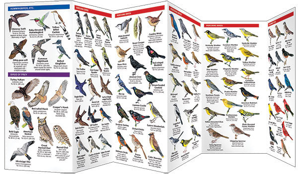 Illinois Birds Pocket Guide - Birds Choice