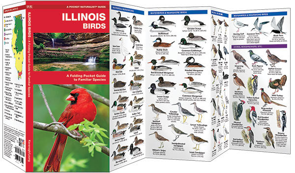 Illinois Birds Pocket Guide - Birds Choice