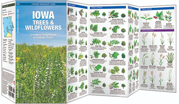 Indiana Trees &amp; Wildflowers Pocket Guide - Birds Choice