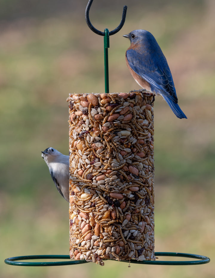 Mr. Bird Bugs, Nuts, &amp; Fruit Seed Cylinder – Small - Birds Choice