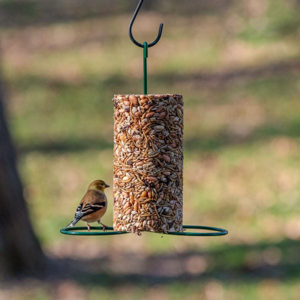 Mr. Bird Cylinder Feeder - Birds Choice