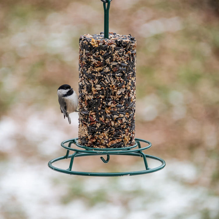 Mr. Bird WildBird Feast Seed Cylinder – Small - Birds Choice