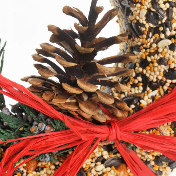 Mr. Bird WildFeast Seed Wreath - Birds Choice
