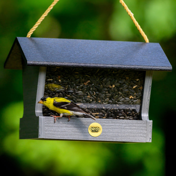 Modern Farmhouse Medium Hopper Feeder in Driftwood - Birds Choice