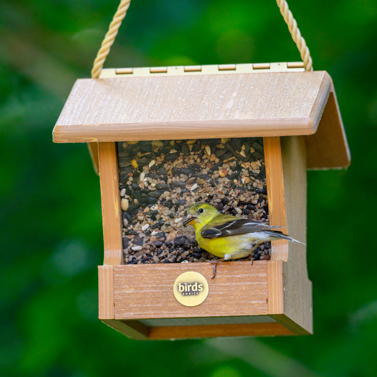 Modern Farmhouse Small Hopper Feeder in Natural Teak - Birds Choice