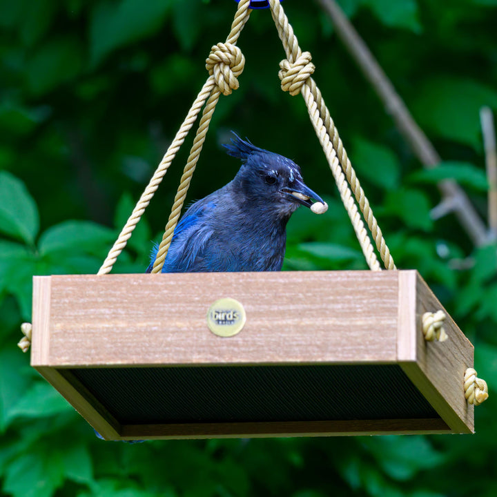 Modern Farmhouse Small Hanging Platform Feeder in Natural Teak - Birds Choice