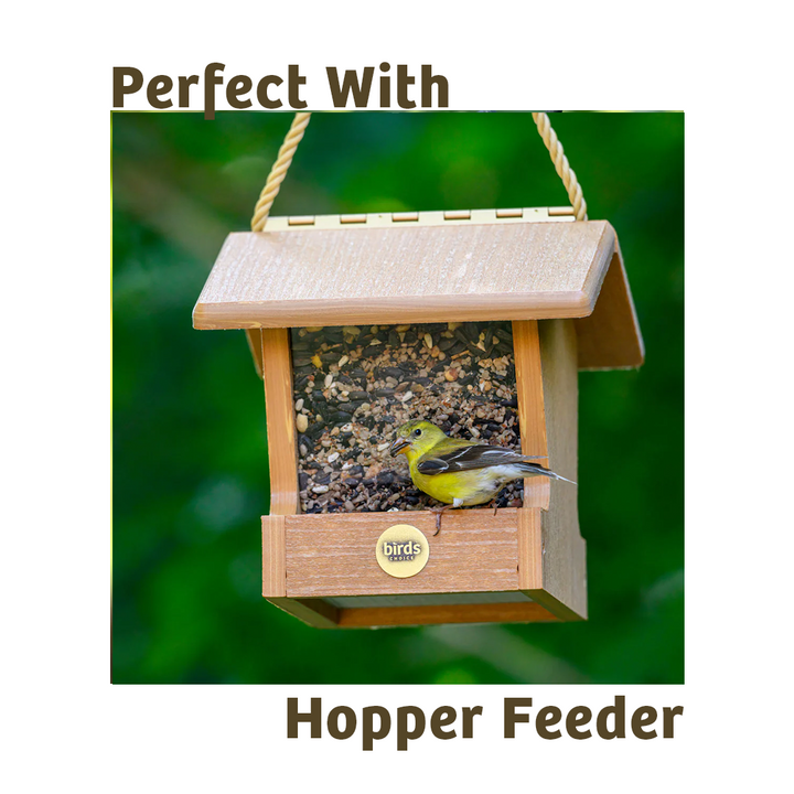 Mealworms - 5 lbs. - Birds Choice