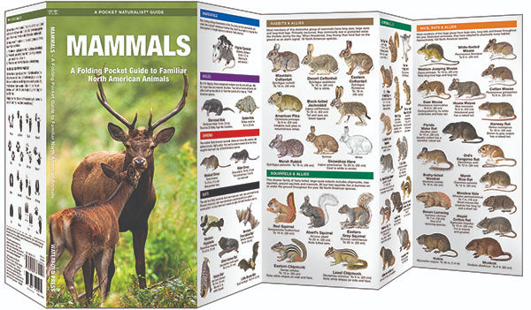 Mammals Pocket Guide - Birds Choice