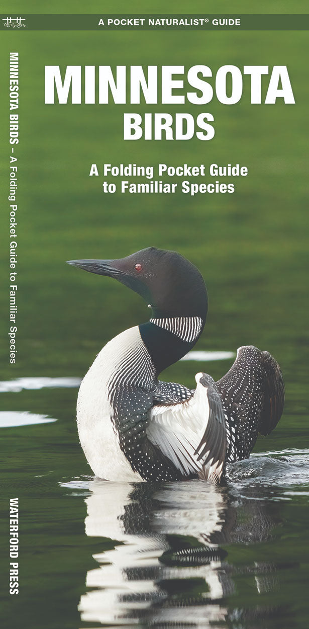 Minnesota Birds Pocket Guide - Birds Choice