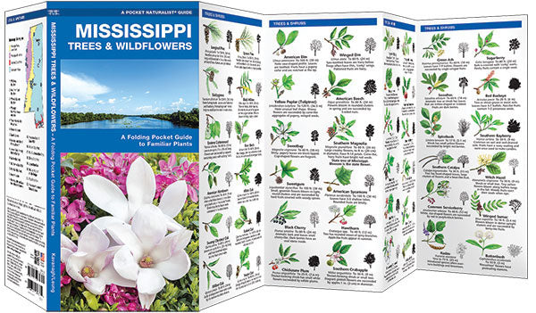 Mississippi Trees &amp; Wildflowers Pocket Guide - Birds Choice
