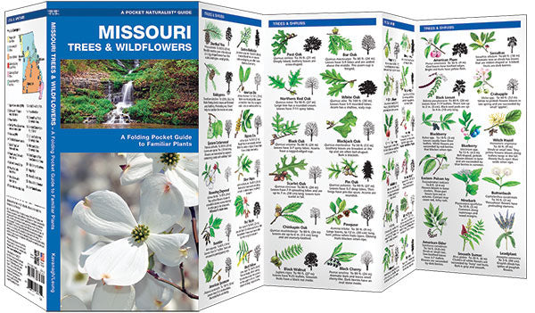 Missouri Trees &amp; Wildflowers Pocket Guide - Birds Choice