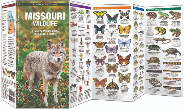 Missouri Wildlife Pocket Guide - Birds Choice