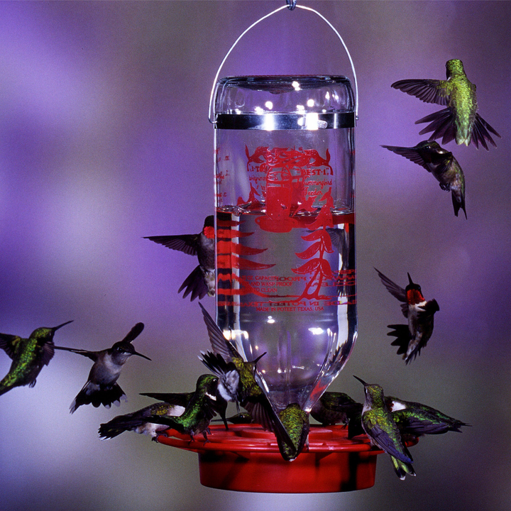 Hummingbird and Oriole Nectar with Nectar Defender 24 oz. Resealable Pouch - Birds Choice