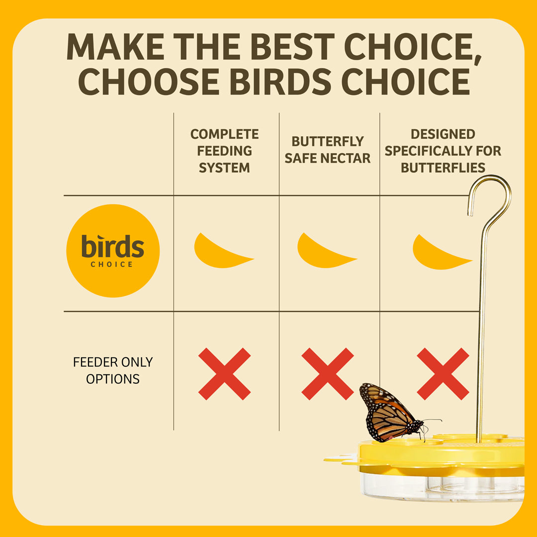 Flutterby Butterfly Feeder &amp; Nectar Bundle - Birds Choice