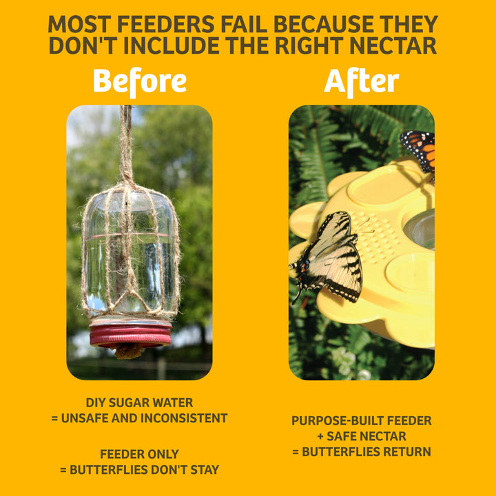 Flutterby Butterfly Feeder &amp; Nectar Bundle - Birds Choice