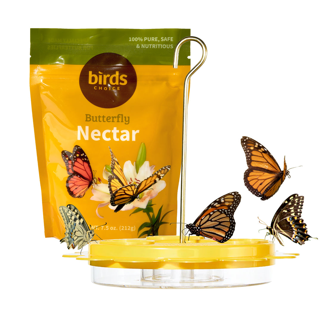 Flutterby Butterfly Feeder &amp; Nectar Bundle - Birds Choice