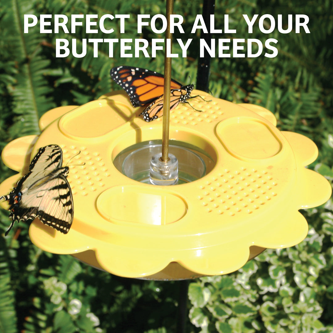 Flutterby Butterfly Feeder &amp; Nectar Bundle - Birds Choice