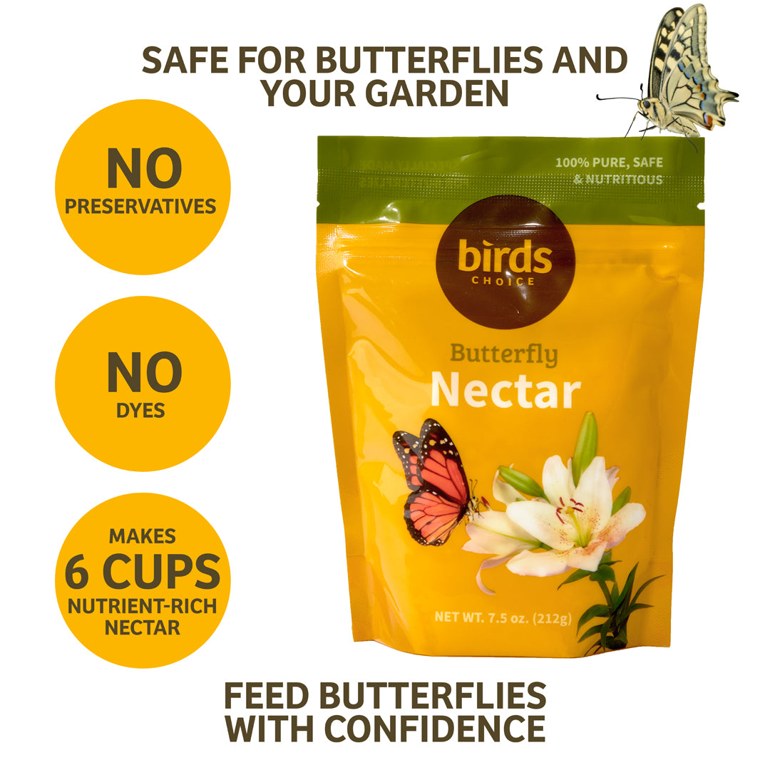 Flutterby Butterfly Feeder &amp; Nectar Bundle - Birds Choice