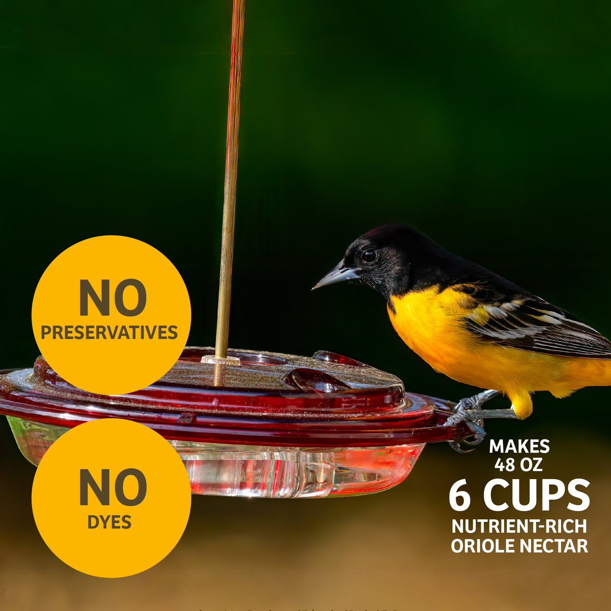 Hummingbird and Oriole Nectar 8 oz. Resealable Pouch - Birds Choice