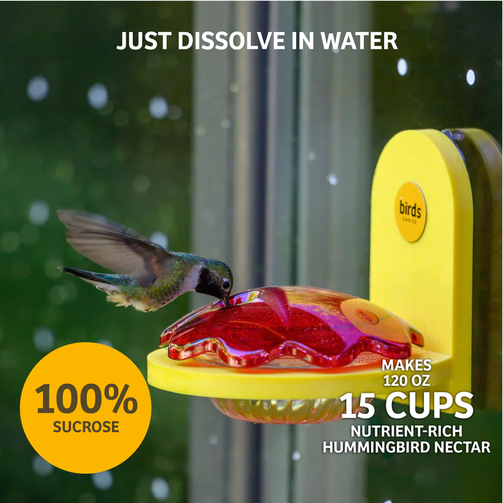 Hummingbird and Oriole Nectar 24 oz. Resealable Pouch - Birds Choice