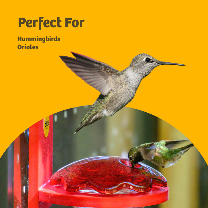 Hummingbird and Oriole Nectar 24 oz. Resealable Pouch - Birds Choice