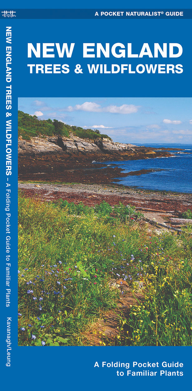 New England Trees &amp; Wildflowers Pocket Guide - Birds Choice
