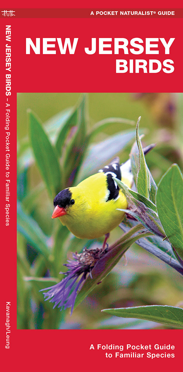 New Jersey Birds Pocket Guide - Birds Choice