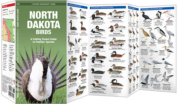 North Dakota Birds Pocket Guide - Birds Choice
