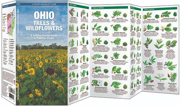 Ohio Trees &amp; Wildflowers Pocket Guides - Birds Choice