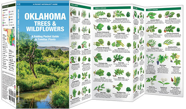 Oklahoma Trees &amp; Wildflowers Pocket Guide - Birds Choice