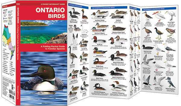 Ontario Birds Pocket Guide - Birds Choice