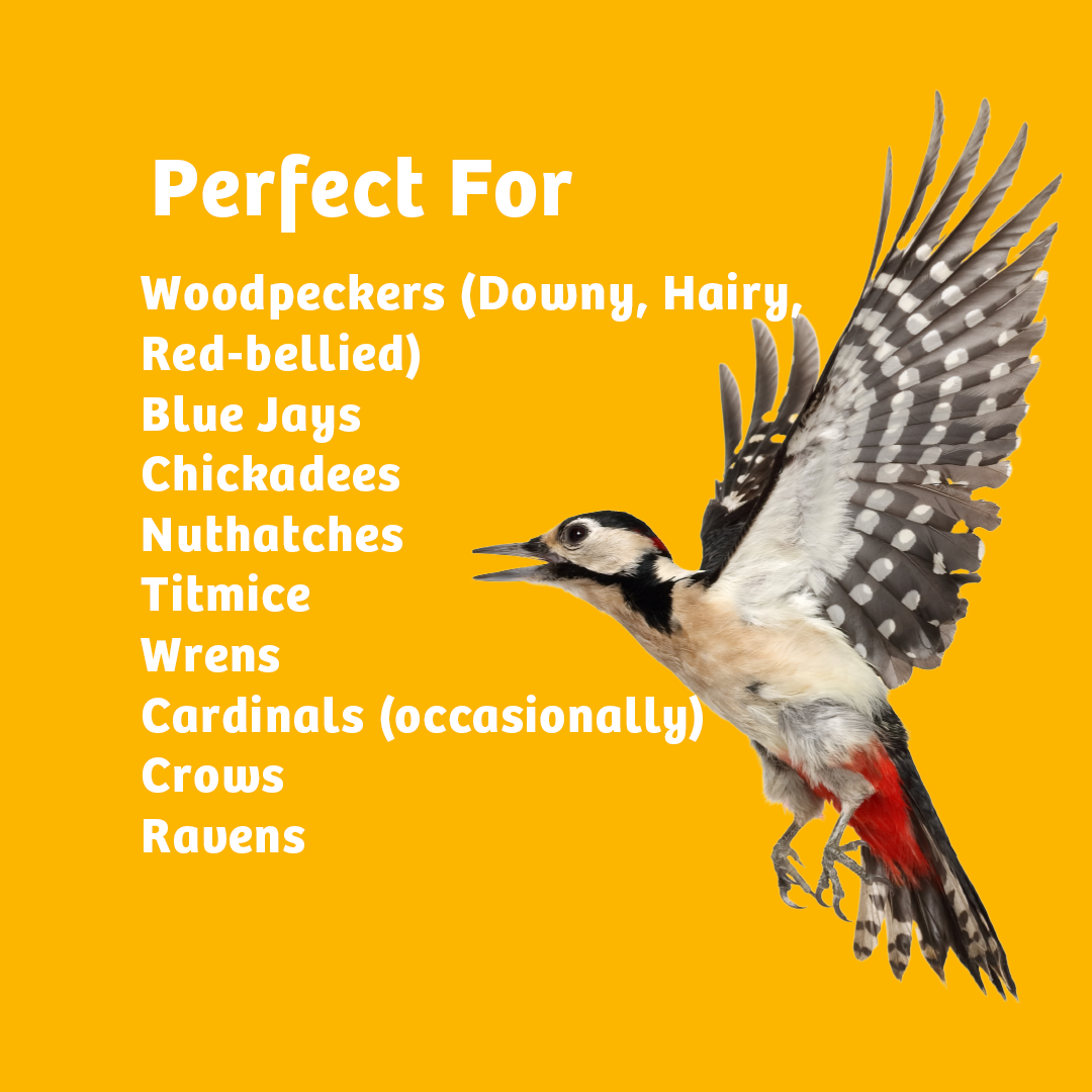 In Shell Peanuts - 10 lbs. - Birds Choice