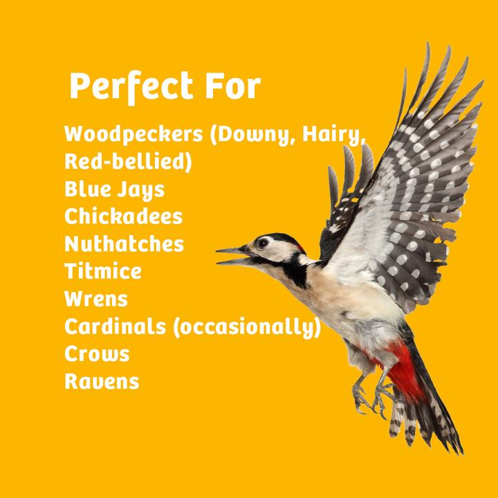 In Shell Peanuts - 10 lbs. - Birds Choice
