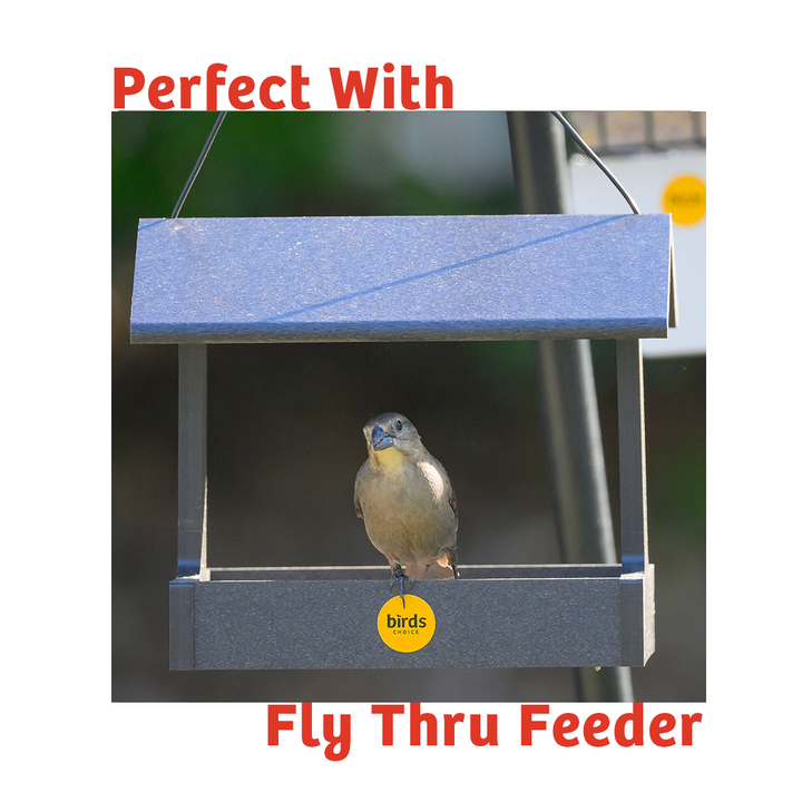 PEANUT NO MELT SUET - 12 PACK - Birds Choice