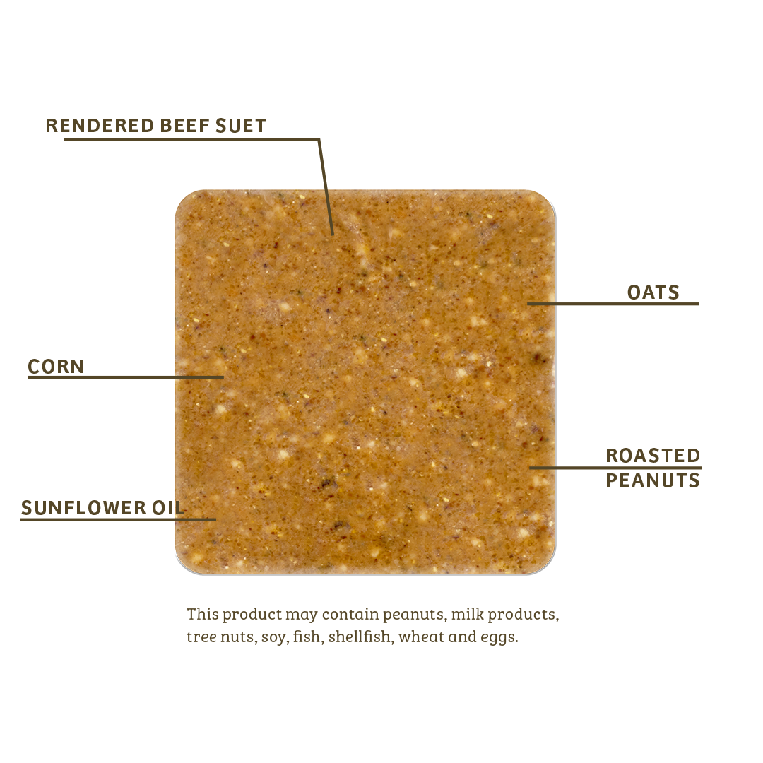 PEANUT NO MELT SUET - 12 PACK - Birds Choice